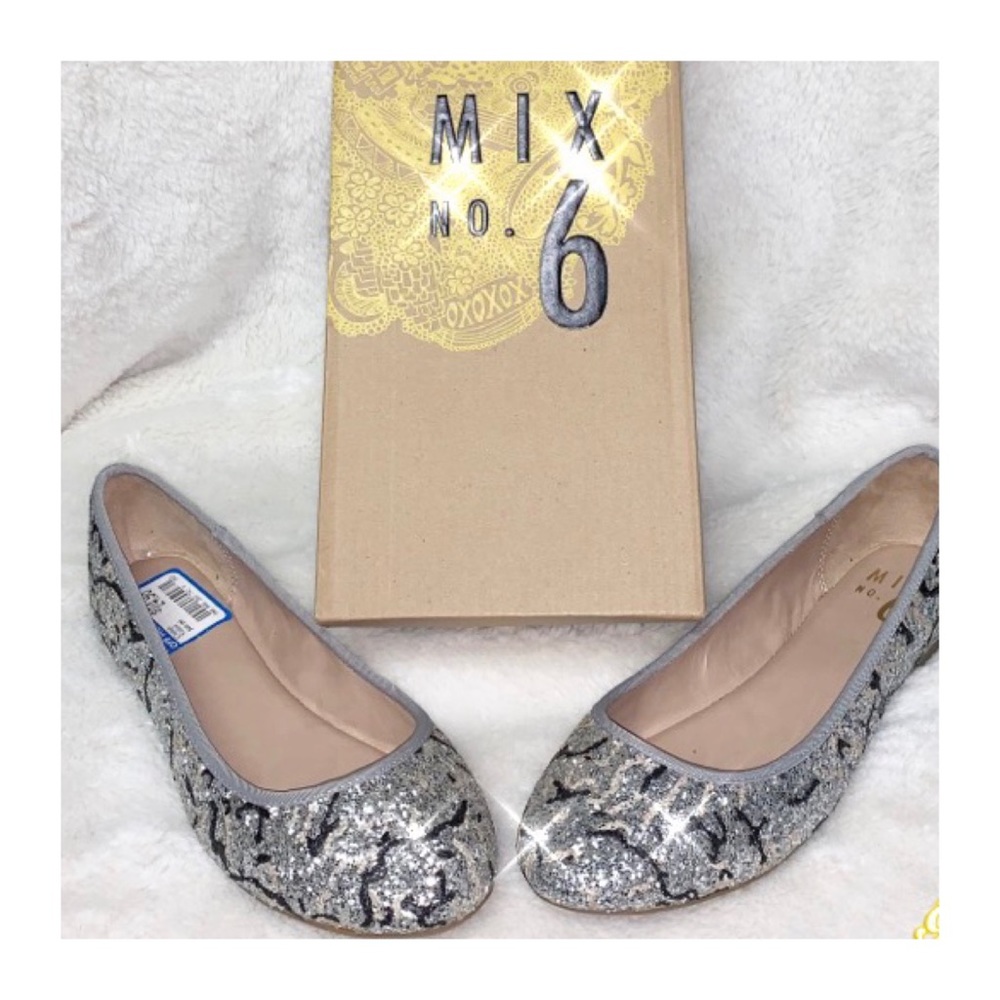 ✨Brand New✨ Glittery Silver Flats by Mix No. 6